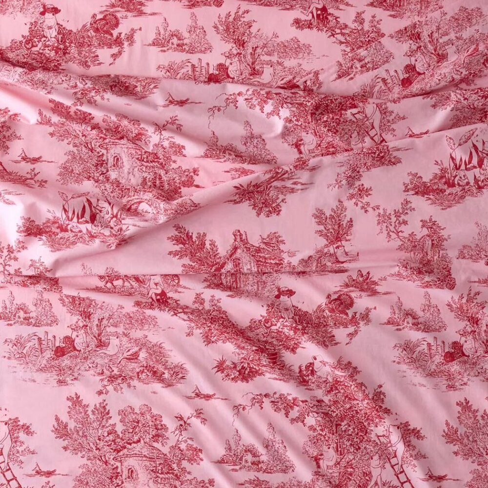 Urban Outfitters Pink & Red Frog Toile Queen Size Sheet Set